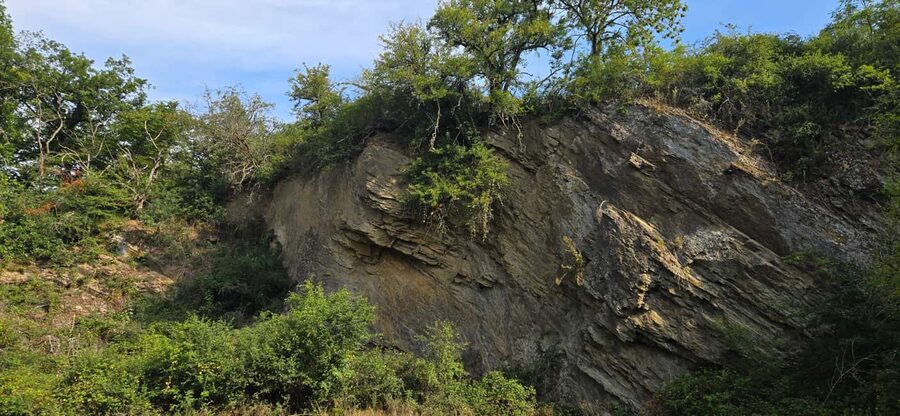 Guided hike on the "Hasenkammer" dream loop - Udenhausen Switzerland delivers the big view