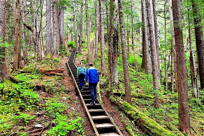 Guided Hike | TONGASS NATIONAL FOREST - Key points to know before you book