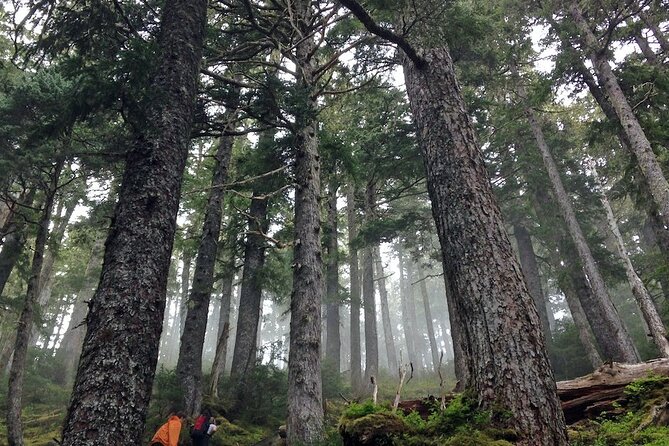 Guided Hike | TONGASS NATIONAL FOREST - Starting at Harrigan Centennial Hall in Sitka