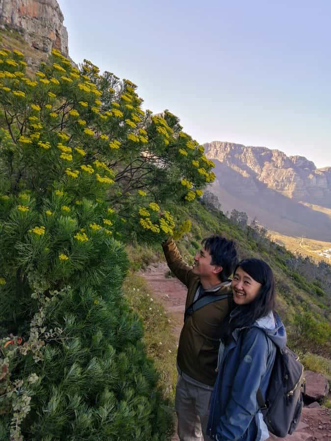 Guided Table Mountain Hike – Kasteelspoort Scenic Route - Reaching the flat Table Mountain summit