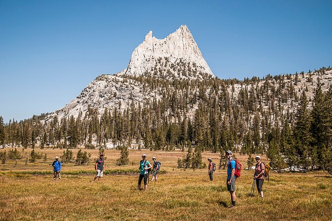 Guided Yosemite Hiking Excursion - Yosemite Falls, Vernal Fall, and the valley