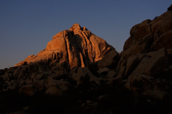 Half-Day Guided Hike in Joshua Tree National Park - What the four and a half hours feel like