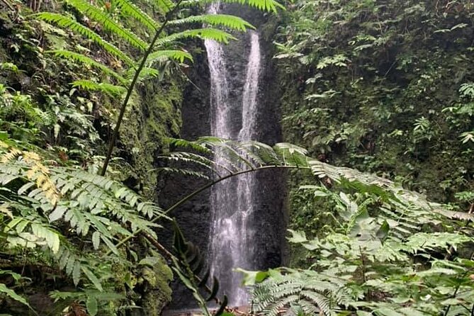 Half-Day Guided Hike to Afareaitu Waterfall - Key points at a glance