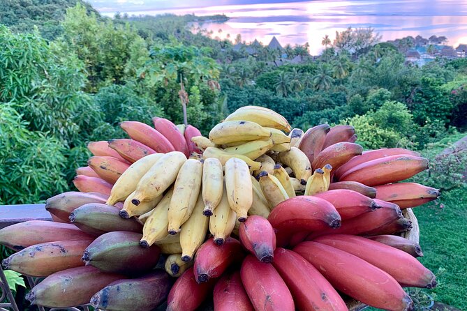Half-Day Guided Hike to Afareaitu Waterfall - Price, pickup, and time