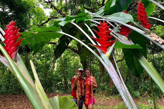 Half-Day Guided Hike to Afareaitu Waterfall - Who should book this hike