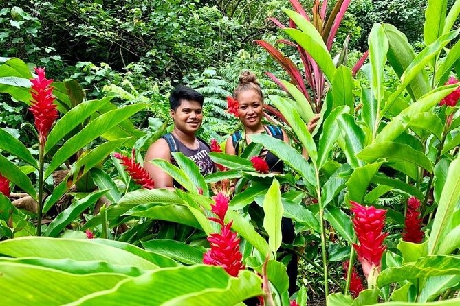 Half-Day Guided Hike to Afareaitu Waterfall - The hike to Afareaitu Waterfall