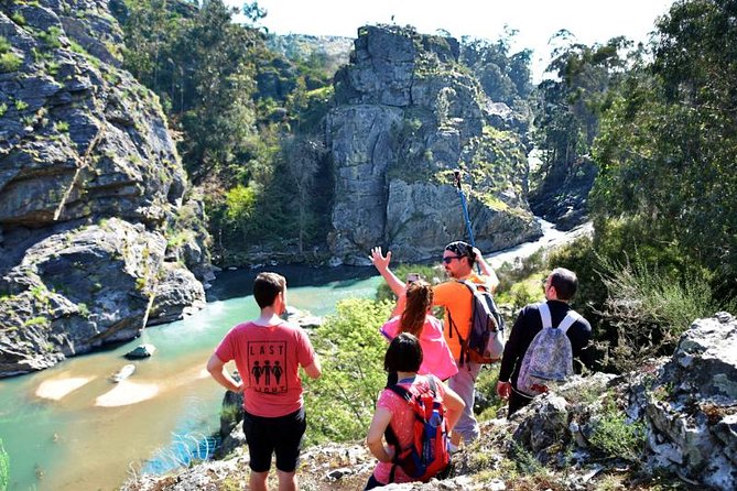 Half-day Hike & Picnic with Dog Love in Porto's Mountains - Leaving Porto by train for Serras do Porto Park