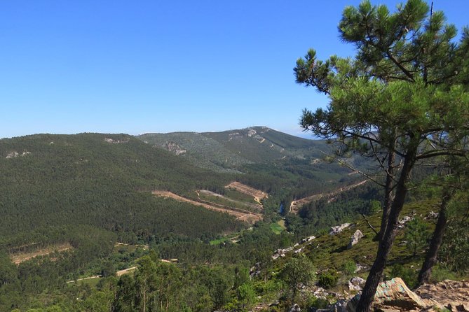 Half-day Hike & Picnic with Dog Love in Porto's Mountains - What the three-hour walk is really like