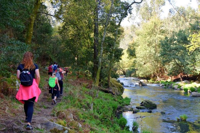 Half-day Hike & Picnic with Dog Love in Porto's Mountains - A picnic with homemade Portuguese and Mediterranean flavors