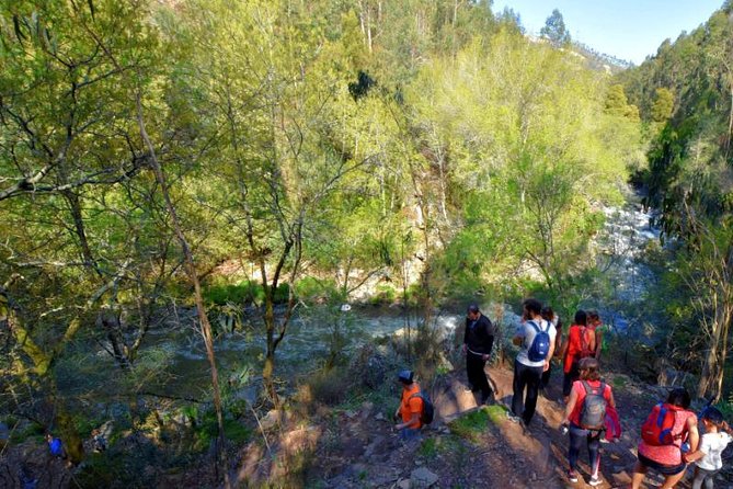 Half-day Hike & Picnic with Dog Love in Porto's Mountains - Is $59.28 a fair price?