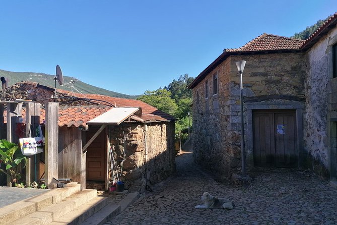 Half-day Hike & Picnic with Dog Love in Porto's Mountains - FAQ