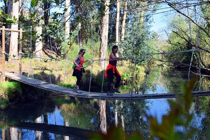 Half-day Hike & Picnic with Dog Love in Porto's Mountains - Ricardo’s guiding style and Shy’s role