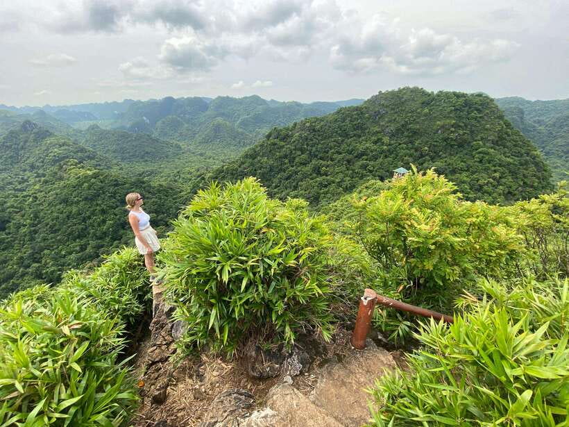 Half Day Hiking to Cat Ba National Park with a Guide - A four-hour slice of Cat Ba beyond the beach