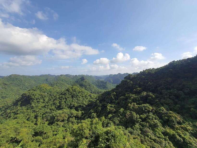 Half Day Hiking to Cat Ba National Park with a Guide - Hospital Cave, a wartime shelter in the mountain