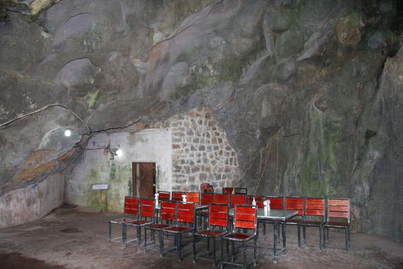 Half Day Hiking to Cat Ba National Park with a Guide - Is this Cat Ba half-day tour worth $22?