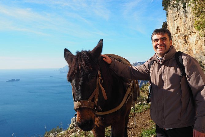 Half-Day Private Amalfi Coast Path of the Gods Hike with Lunch - Who will enjoy this private hike most?