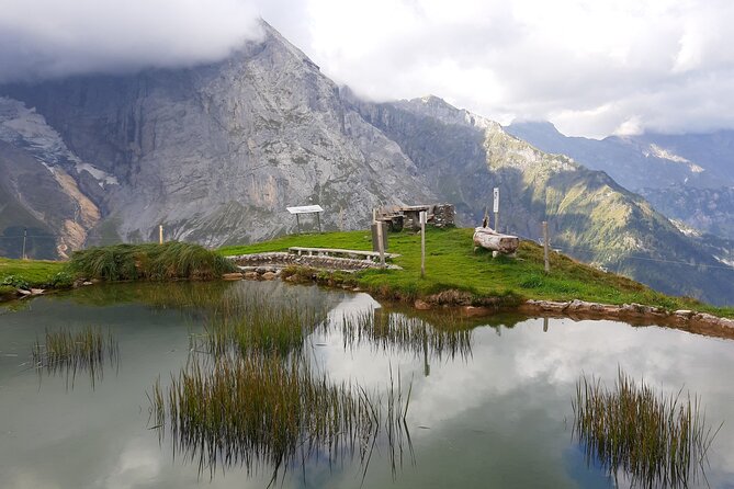 Heart of the Alps Private Hiking Tour from Lucerne - The forest path back toward Engelberg