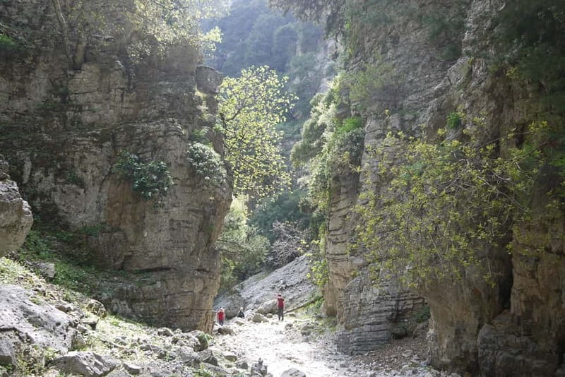 Heraklion Crete: Imbros Gorge Hike - A coffee stop at Skaleta