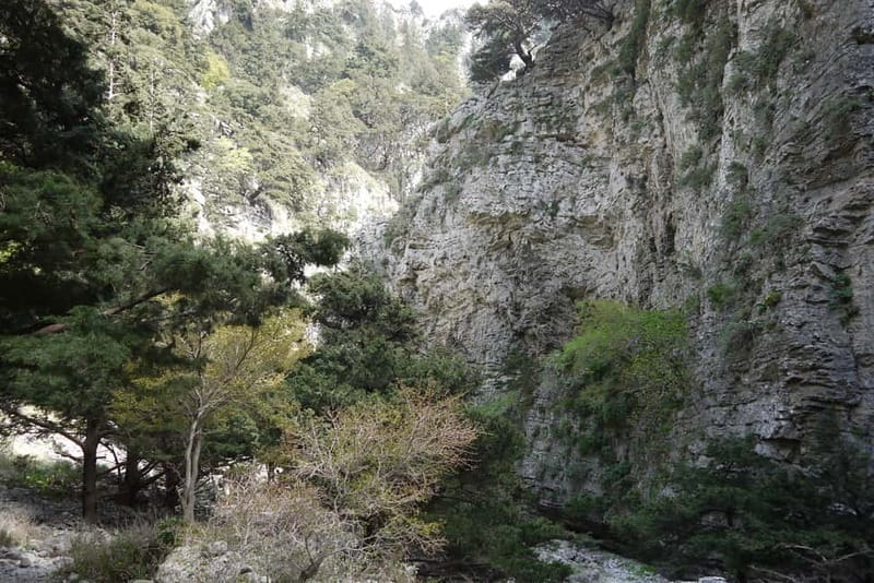 Heraklion Crete: Imbros Gorge Hike - From the gorge to the Sfakia area