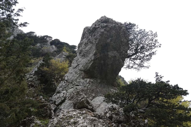 Heraklion Crete: Imbros Gorge Hike - The return journey and what the schedule means