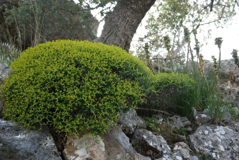 Heraklion Crete: Imbros Gorge Hike - Who will enjoy this hike most