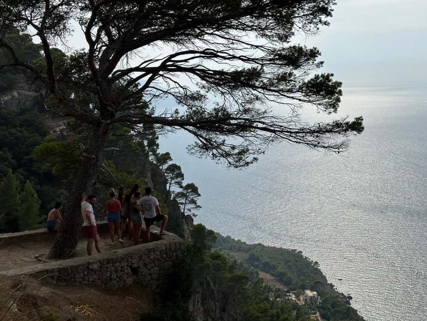Hidden Coves, Hiking & Snorkeling Adventure in Mallorca - What the $93 price really covers