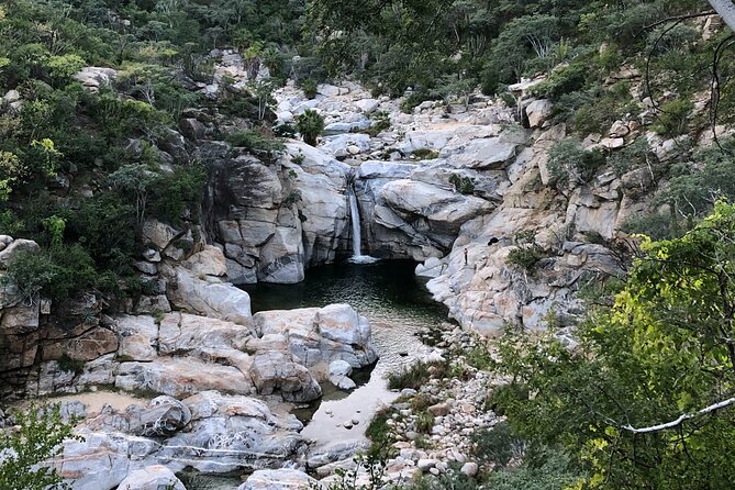 Hidden Waterfalls Hiking Adventure - From Cabo resorts to the Sierra de la Laguna Mountains