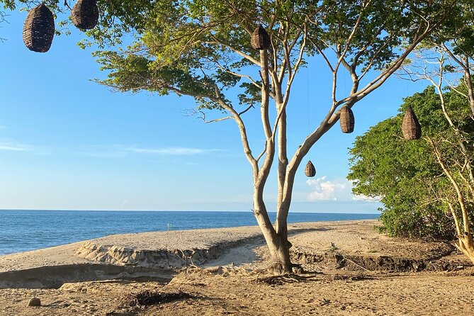 Hike and Yoga Jungle Experience in Mexico - A gentle 40 to 50-minute yoga class