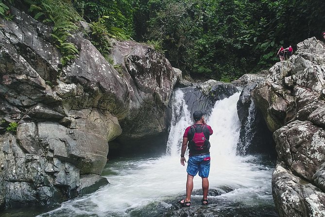 Hike El Yunque Rainforest and Kayak Bio Bay Combo Tour - The upper river section is the demanding part