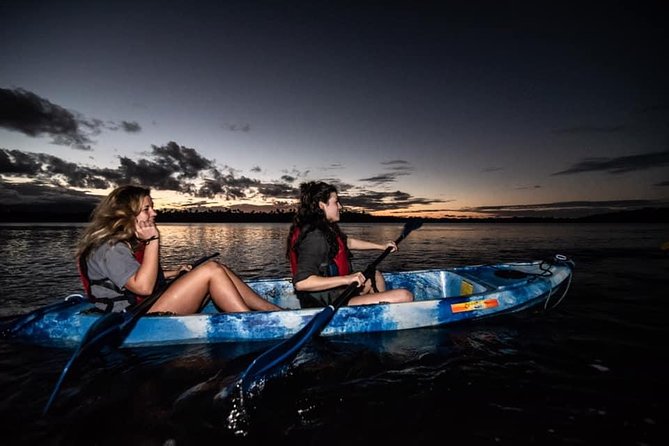Hike El Yunque Rainforest and Kayak Bio Bay Combo Tour - The glowing water comes with no guarantee