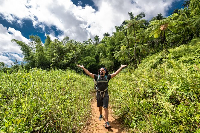 Hike El Yunque Rainforest and Kayak Bio Bay Combo Tour - Pickup makes the long day easier
