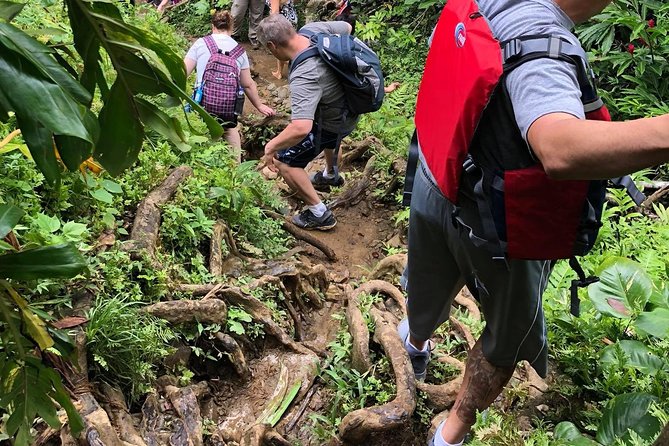 Hike El Yunque Rainforest and Kayak Bio Bay Combo Tour - What to wear and pack for a wet day