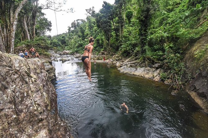 Hike El Yunque Rainforest and Kayak Bio Bay Combo Tour - Lunch is a pause, not a culinary highlight