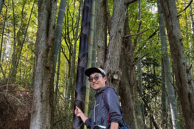 Hike Japan Heritage Hakone Hachiri with certified mountain guide - The Hakone Checkpoint and lunch near Hakone-machi