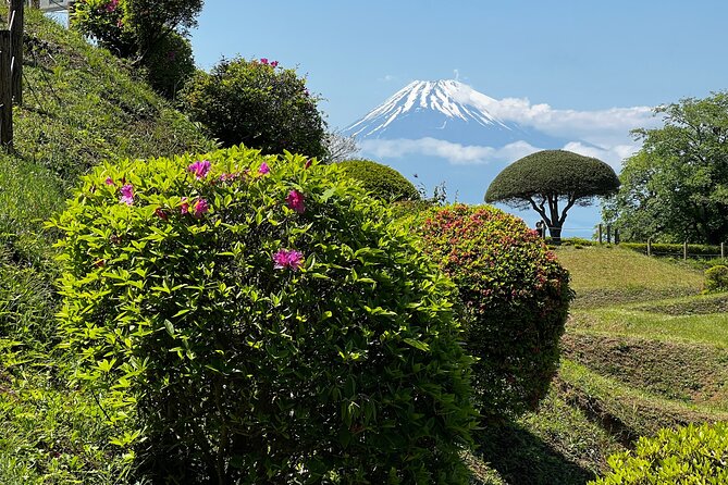 Hike Japan Heritage Hakone Hachiri with certified mountain guide - Yamanaka Castle Ruins and the Shizuoka side