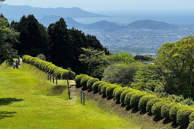 Hike Japan Heritage Hakone Hachiri with certified mountain guide - What the $158.52 price really covers