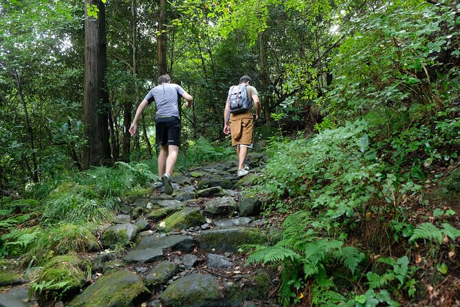 Hike Japan Heritage Hakone Hachiri with certified mountain guide - Who should book this walk