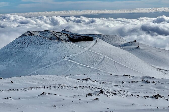 Hike near the summit craters up to the maximum safe altitude currently foreseen - Crossing lava fields and crater rims