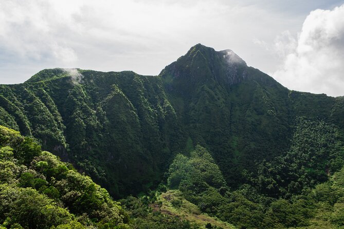 Hike St. Kitts: Highest peak Mount Liamuiga Volcano - Forest sounds, plants, and Vervet monkeys