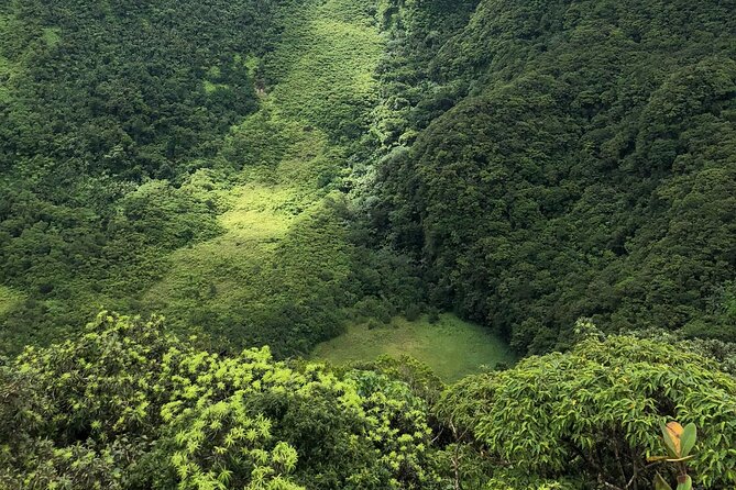 Hike St. Kitts: Highest peak Mount Liamuiga Volcano - The climb toward the crater rim