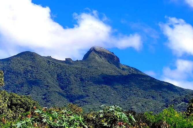 Hike St. Kitts: Highest peak Mount Liamuiga Volcano - Crater views and the reward at the top