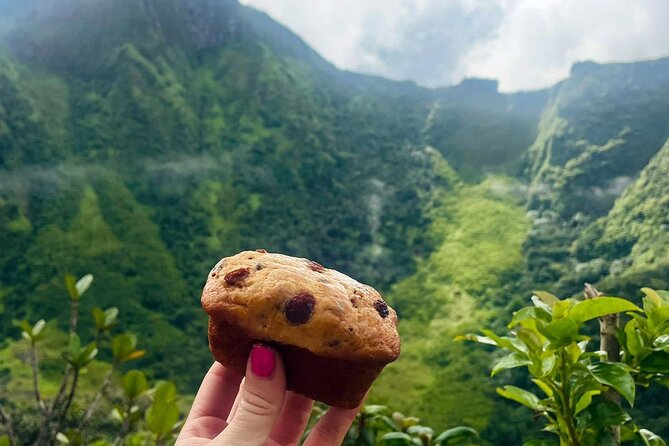 Hike St. Kitts: Highest peak Mount Liamuiga Volcano - Going down is its own challenge