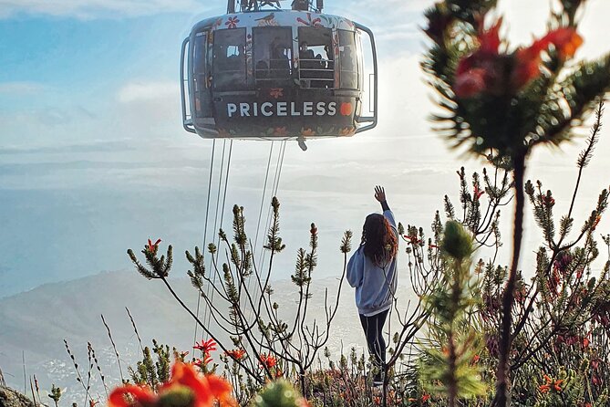Hike Table Mountain with a Guide - Choose Route - Who Should Book This Table Mountain Hike?