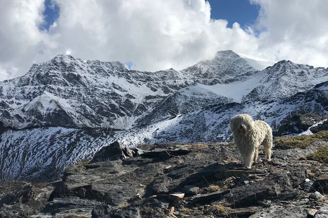 Hiking experience in the High Sierra Nevada National Park - San Juan Valley and the work of ancient ice