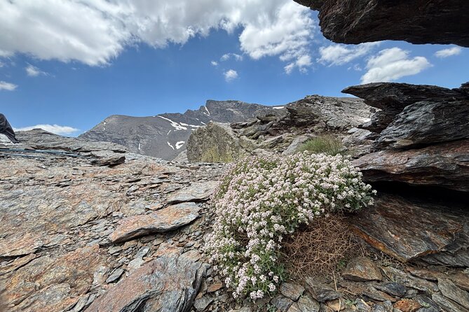 Hiking experience in the High Sierra Nevada National Park - What the guide adds to the day