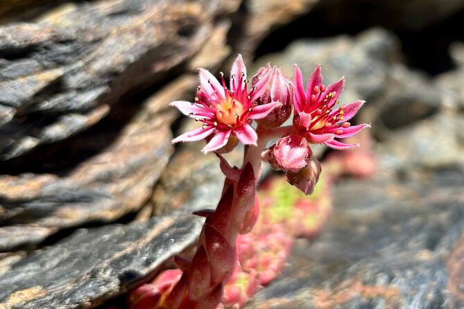 Hiking experience in the High Sierra Nevada National Park - Is $71.35 a fair price?