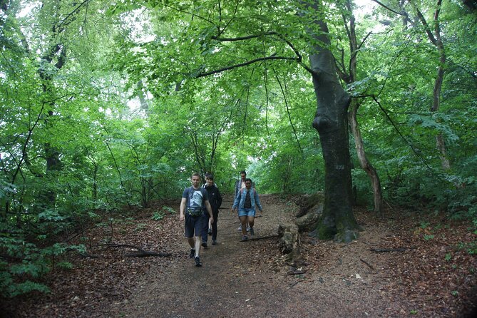 Hiking in Budapest - Leaving Széll Kálmán tér for the Buda hills