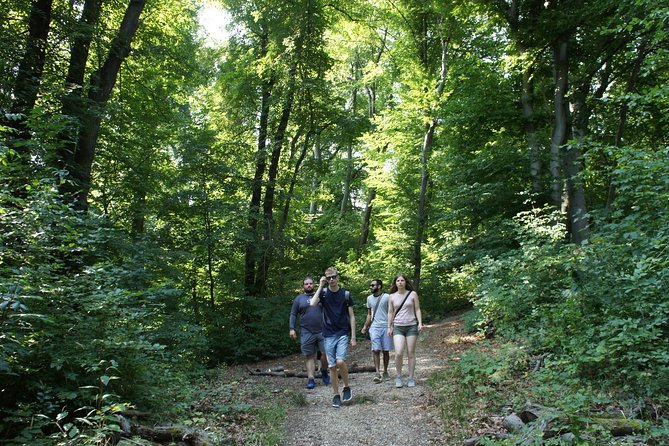 Hiking in Budapest - Stories, plants, and everyday Hungary