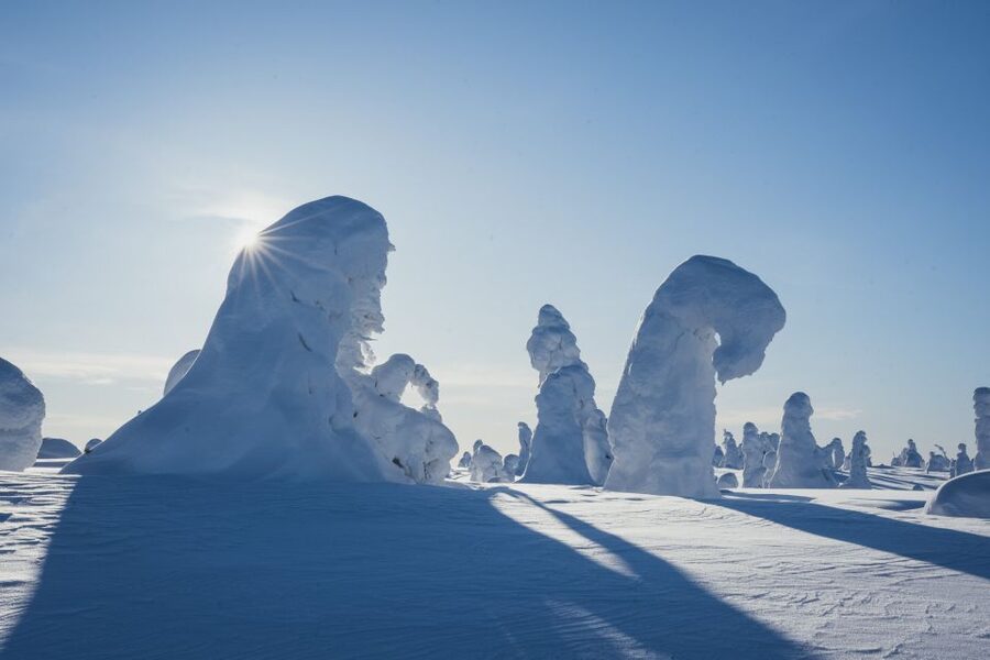 Hiking in Riisitunturi National Park with Photographer - What the $222 price includes