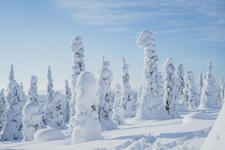 Hiking in Riisitunturi National Park with Photographer - The Rovaniemi pickup and the 2-hour drive north